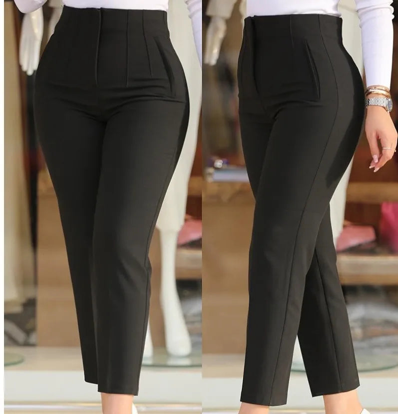 Slim Fit Pant